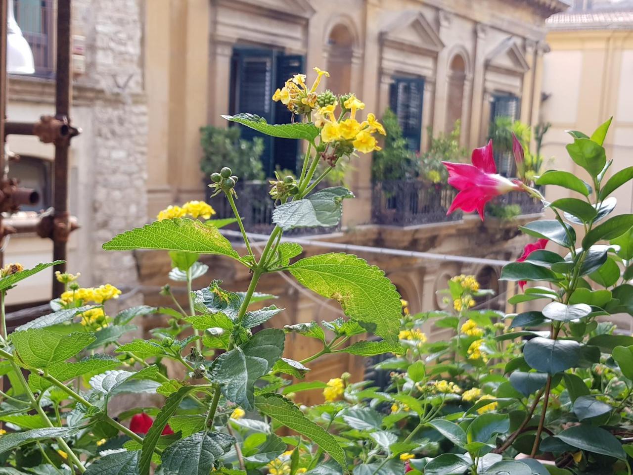 Bed and Breakfast Casa Coccinella Caltanissetta Zewnętrze zdjęcie